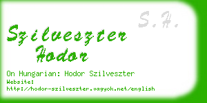 szilveszter hodor business card